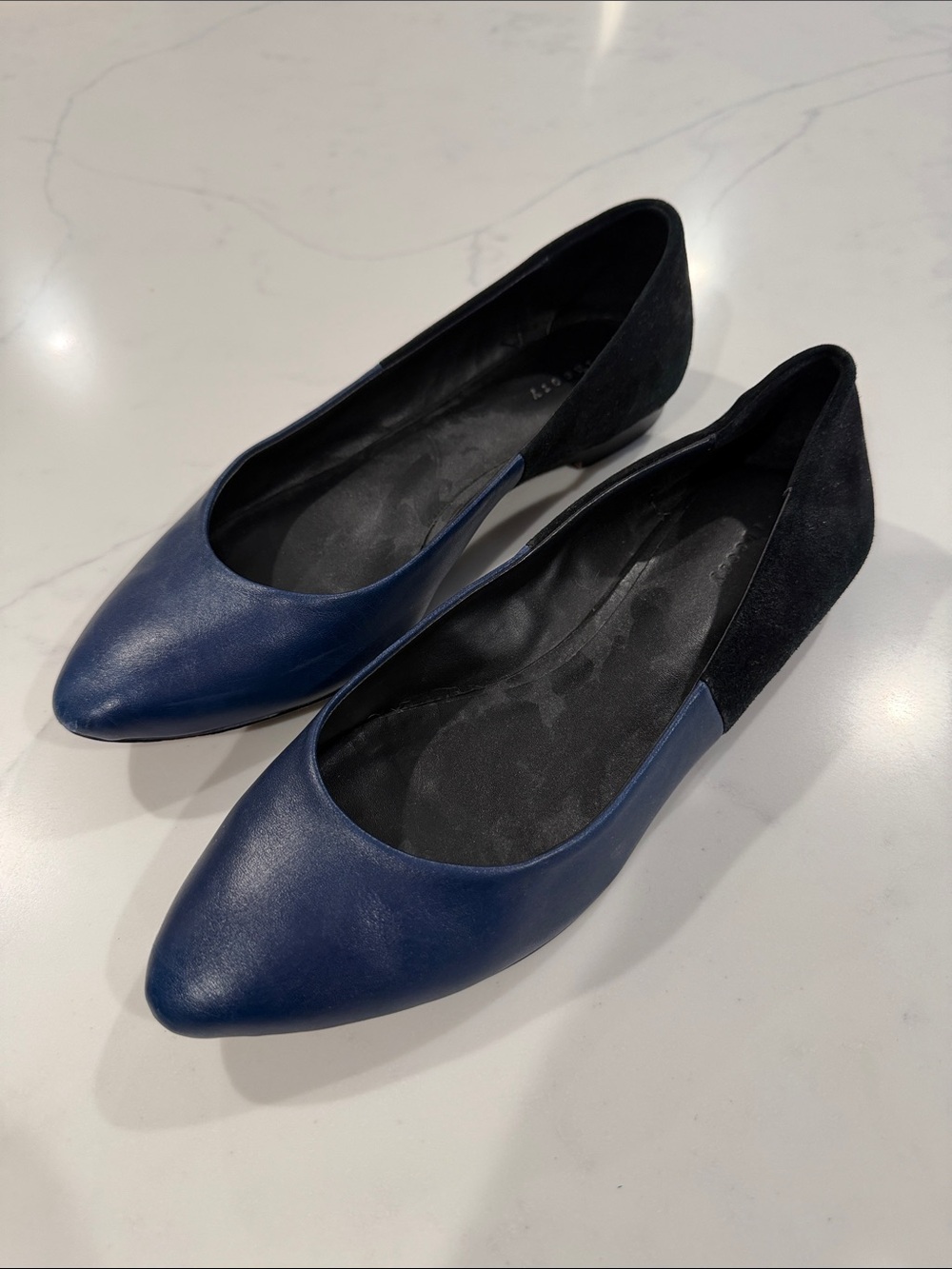 Women's Theory Two-Toned Navy and Black Pointed-Toe Flats